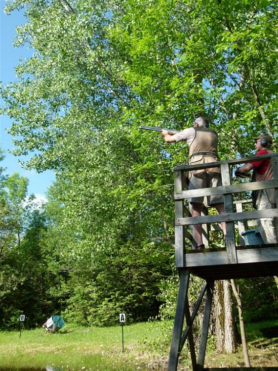 Roue du Roy - Juin 2012 - Louis_MDQ020882.JPG